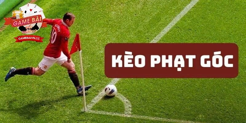 Bí quyết chinh phục cá cược Kèo Phạt Góc Game Bài Đổi Thưởng cho tân binh