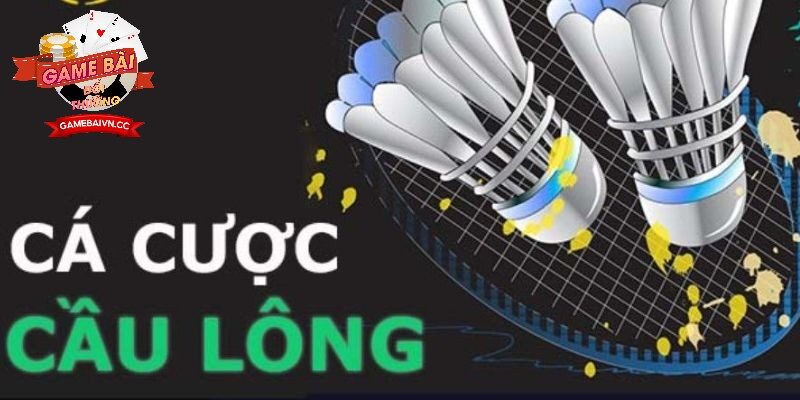 Hướng Dẫn Đặt Cược Cầu Lông Cho Người Mới