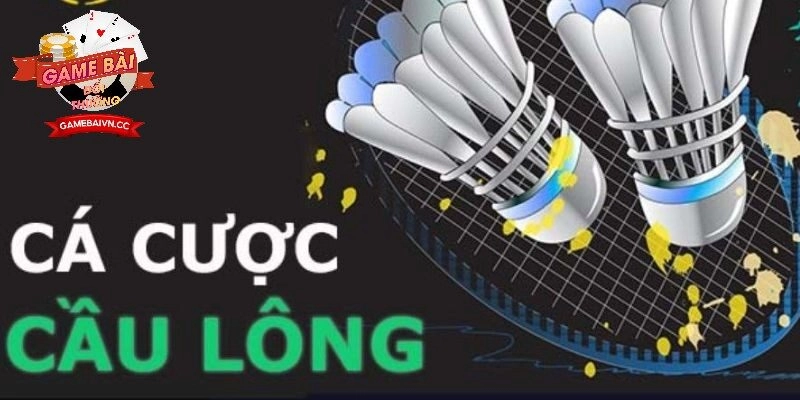 Hướng Dẫn Đặt Cược Cầu Lông Cho Người Mới