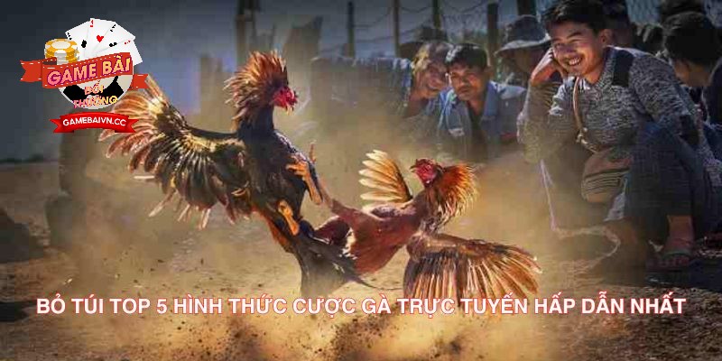 Bỏ túi TOP 5 hình thức cược gà trực tuyến hấp dẫn nhất