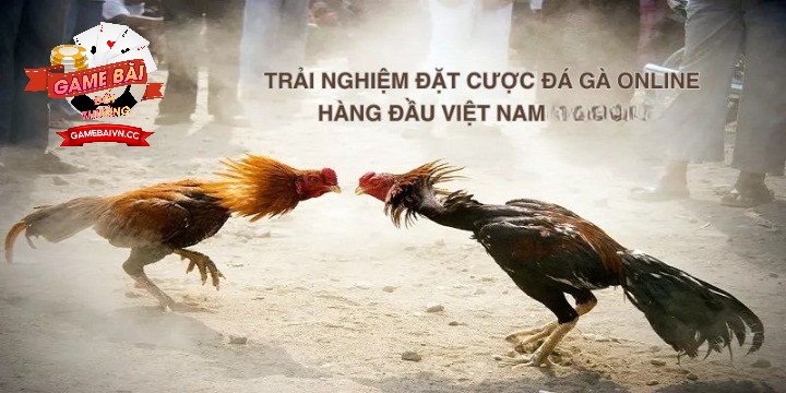 Trải nghiệm đặt cược đá gà online hàng đầu Việt Nam tại Game bài đổi thưởng