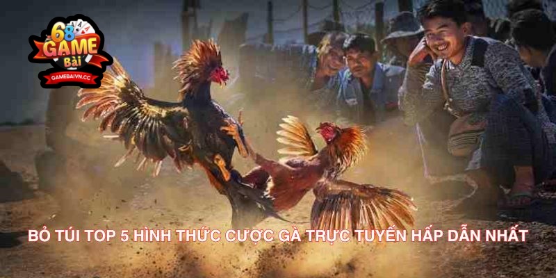 Bỏ túi TOP 5 hình thức cược gà trực tuyến hấp dẫn nhất